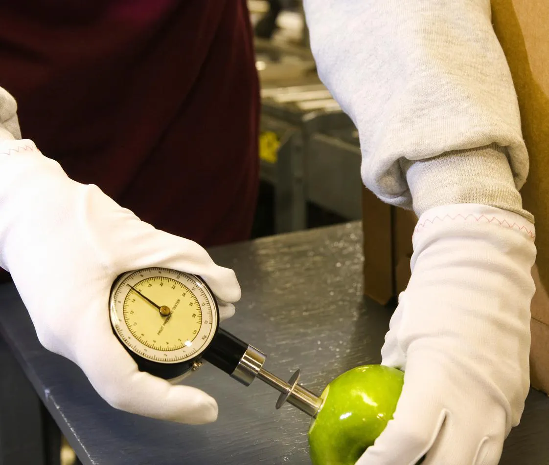 Tony Fruit packing line — quality control and packaging